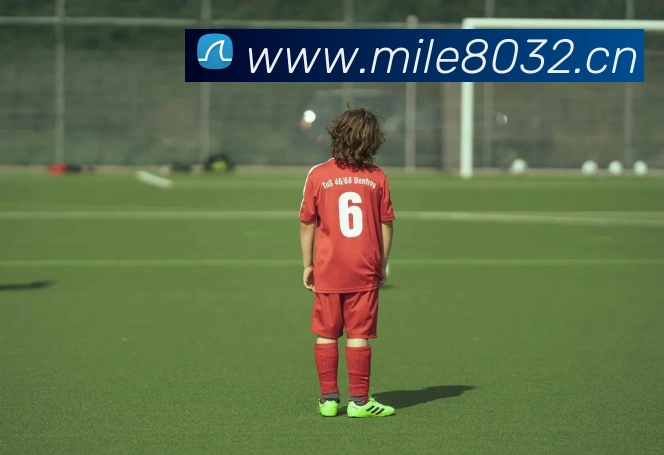 爱游戏体育最新官网服务体系